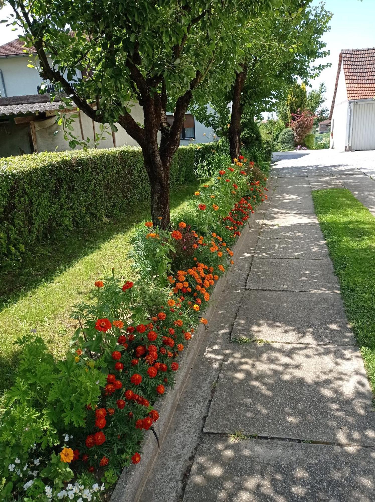 Apartman Skudar Bjelovar Exterior foto