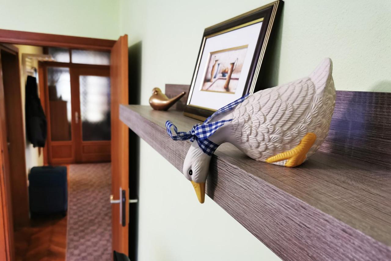 Apartman Skudar Bjelovar Exterior foto